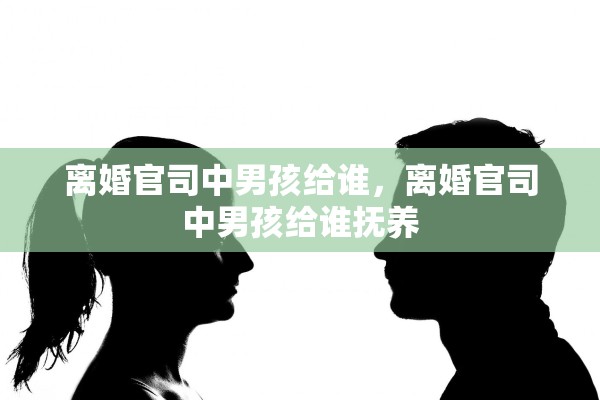 离婚官司中男孩给谁,离婚官司中男孩给谁抚养 离婚官司中男孩给谁,离婚官司中男孩给谁抚养