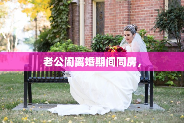 老公闹离婚期间同房，