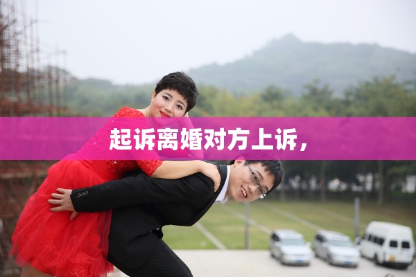 起诉离婚对方上诉, 起诉离婚对方上诉,