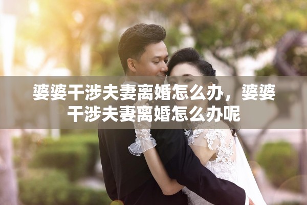 婆婆干涉夫妻离婚怎么办，婆婆干涉夫妻离婚怎么办呢