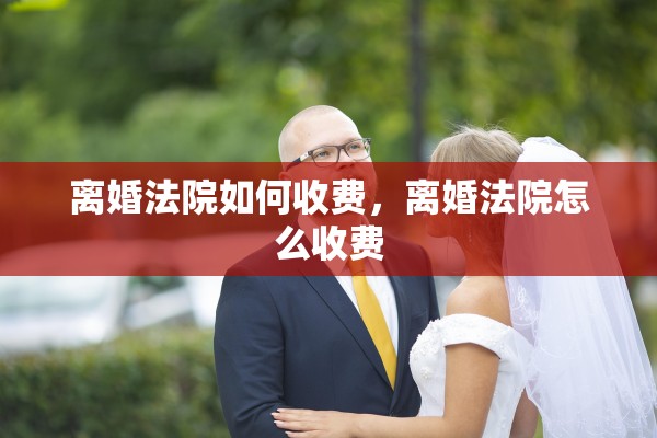 离婚法院如何收费，离婚法院怎么收费