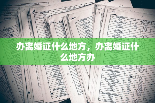 办离婚证什么地方，办离婚证什么地方办