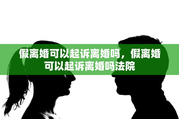 假离婚可以起诉离婚吗，假离婚可以起诉离婚吗法院