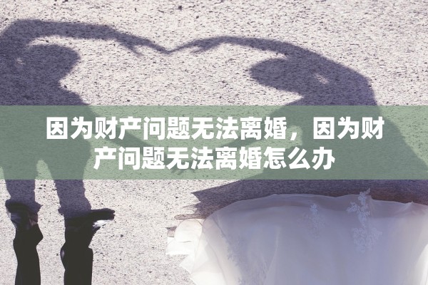 因为财产问题无法离婚，因为财产问题无法离婚怎么办