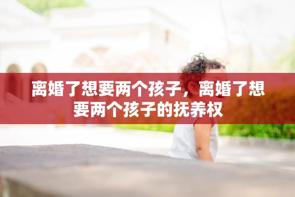 离婚了想要两个孩子，离婚了想要两个孩子的抚养权