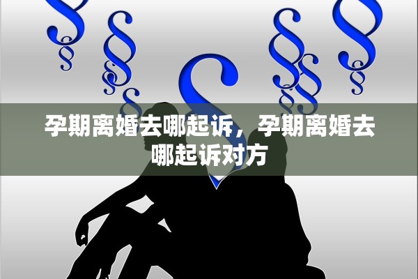 孕期离婚去哪起诉,孕期离婚去哪起诉对方 孕期离婚去哪起诉,孕期离婚去哪起诉对方