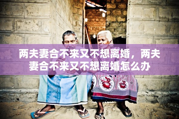 两夫妻合不来又不想离婚，两夫妻合不来又不想离婚怎么办