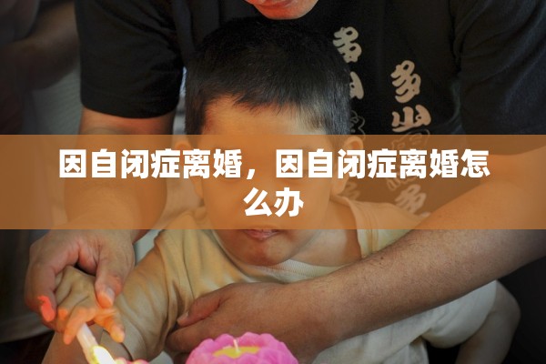 因自闭症离婚，因自闭症离婚怎么办