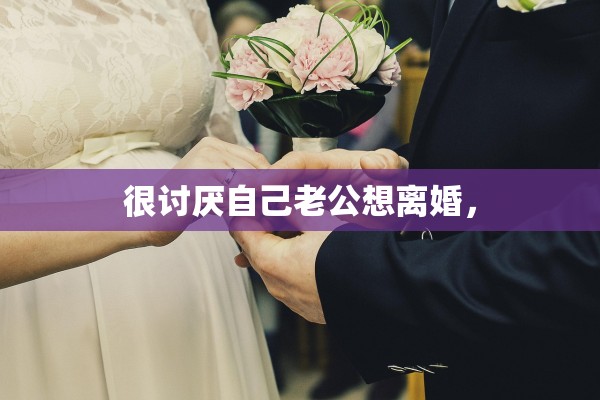 很讨厌自己老公想离婚，