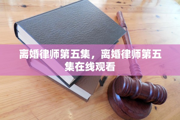 离婚律师第五集，离婚律师第五集在线观看