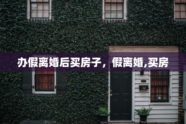 办假离婚后买房子，假离婚,买房