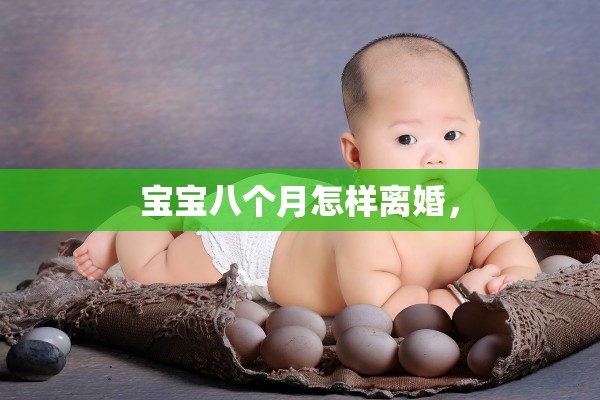 宝宝八个月怎样离婚, 宝宝八个月怎样离婚,