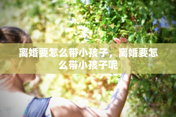 离婚要怎么带小孩子，离婚要怎么带小孩子呢