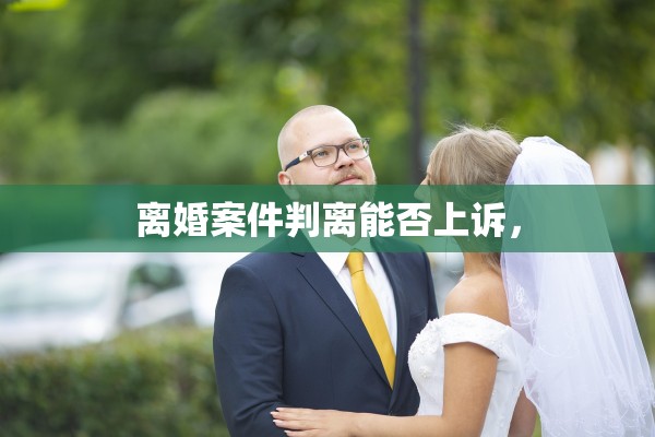 离婚案件判离能否上诉, 离婚案件判离能否上诉,