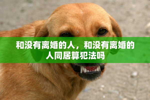 和没有离婚的人，和没有离婚的人同居算犯法吗