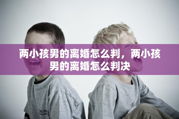两小孩男的离婚怎么判，两小孩男的离婚怎么判决