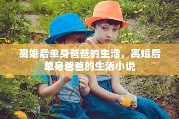 离婚后单身爸爸的生活，离婚后单身爸爸的生活小说