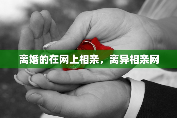 离婚的在网上相亲,离异相亲网 离婚的在网上相亲,离异相亲网