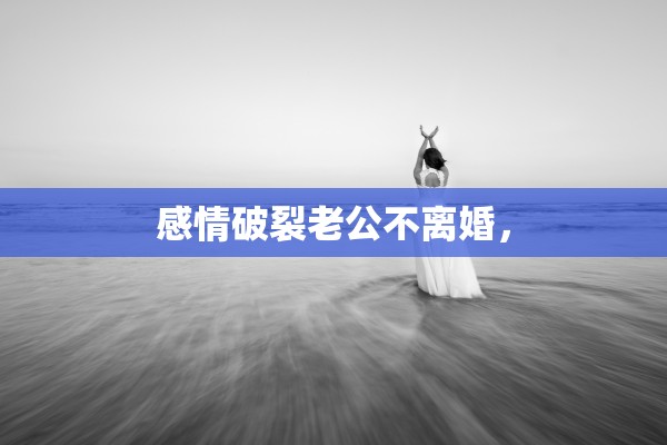 感情破裂老公不离婚, 感情破裂老公不离婚,