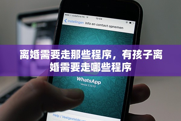 离婚需要走那些程序，有孩子离婚需要走哪些程序