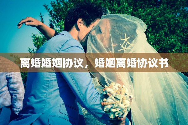 离婚婚姻协议，婚姻离婚协议书