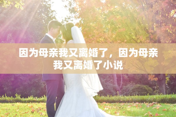 因为母亲我又离婚了,因为母亲我又离婚了小说 因为母亲我又离婚了,因为母亲我又离婚了小说