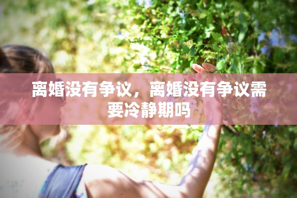 离婚没有争议，离婚没有争议需要冷静期吗