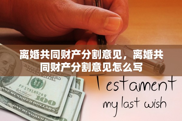离婚共同财产分割意见，离婚共同财产分割意见怎么写