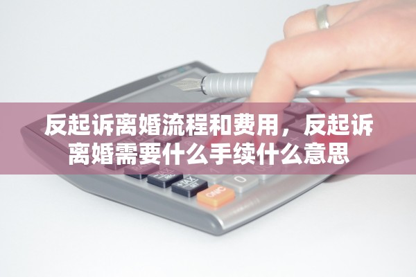 反起诉离婚流程和费用，反起诉离婚需要什么手续什么意思