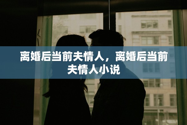 离婚后当前夫情人，离婚后当前夫情人小说