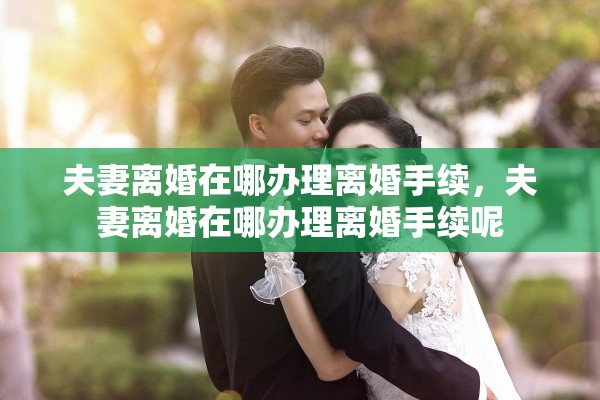 夫妻离婚在哪办理离婚手续，夫妻离婚在哪办理离婚手续呢