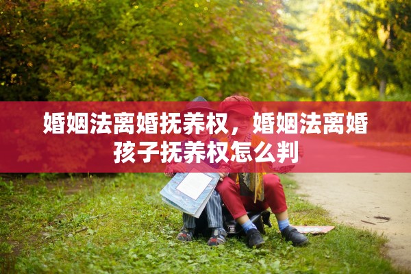 婚姻法离婚抚养权,婚姻法离婚孩子抚养权怎么判 婚姻法离婚抚养权,婚姻法离婚孩子抚养权怎么判