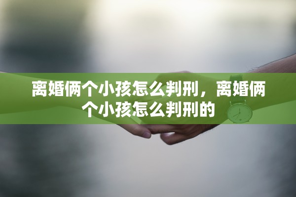 离婚俩个小孩怎么判刑，离婚俩个小孩怎么判刑的