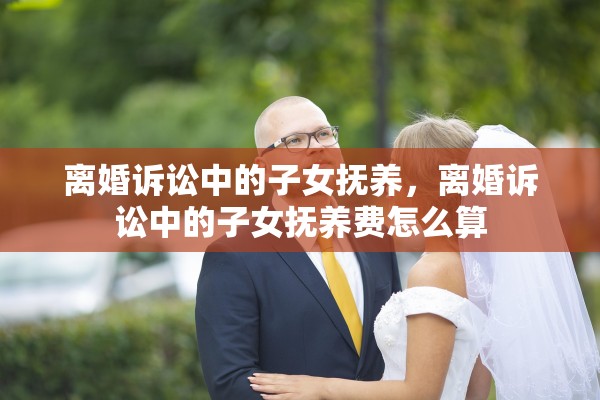 离婚诉讼中的子女抚养，离婚诉讼中的子女抚养费怎么算