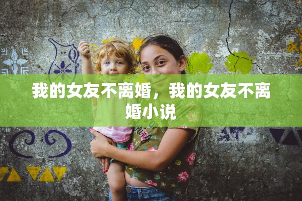 我的女友不离婚，我的女友不离婚小说