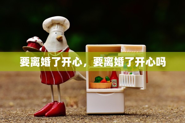 要离婚了开心，要离婚了开心吗