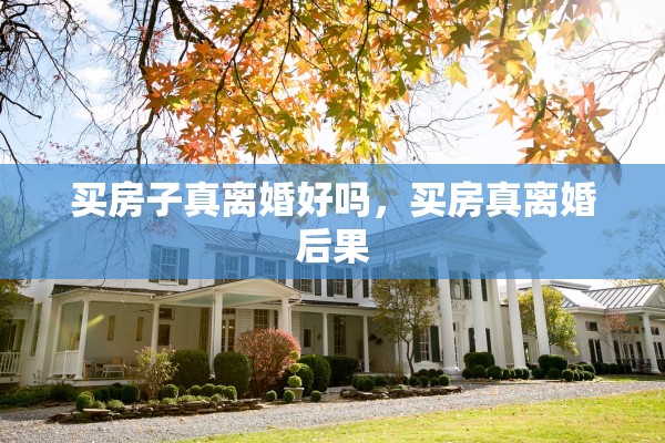 买房子真离婚好吗，买房真离婚后果
