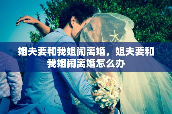 姐夫要和我姐闹离婚，姐夫要和我姐闹离婚怎么办