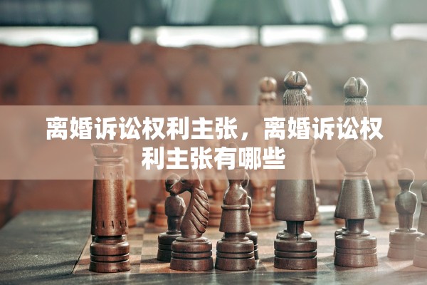 离婚诉讼权利主张，离婚诉讼权利主张有哪些