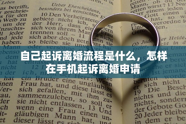 自己起诉离婚流程是什么，怎样在手机起诉离婚申请
