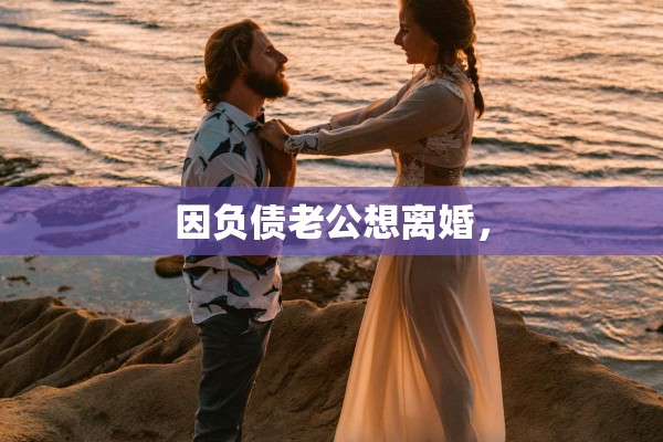 因负债老公想离婚，
