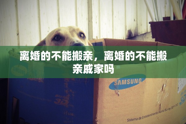 离婚的不能搬亲，离婚的不能搬亲戚家吗