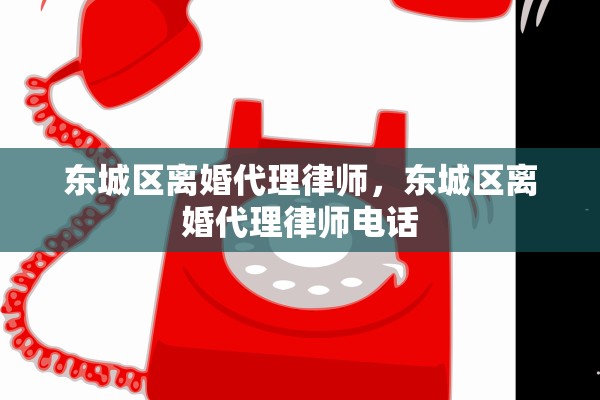 东城区离婚代理律师，东城区离婚代理律师电话