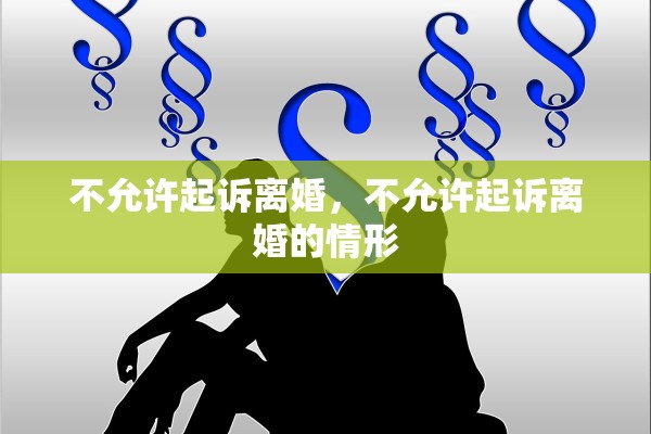 不允许起诉离婚，不允许起诉离婚的情形