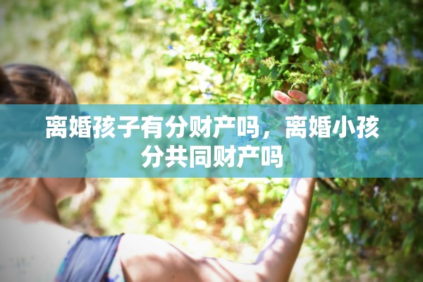离婚孩子有分财产吗，离婚小孩分共同财产吗
