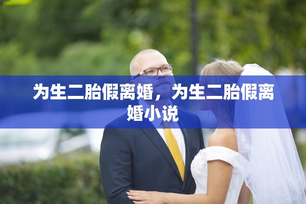 为生二胎假离婚，为生二胎假离婚小说