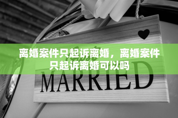 离婚案件只起诉离婚，离婚案件只起诉离婚可以吗