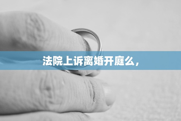 法院上诉离婚开庭么，