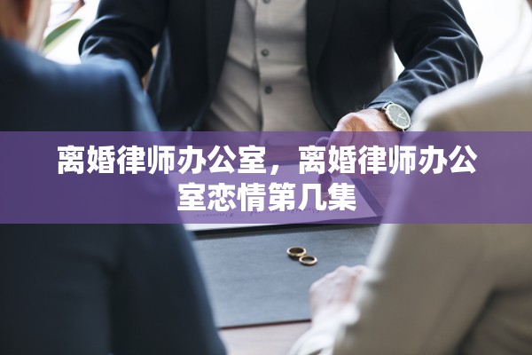 离婚律师办公室，离婚律师办公室恋情第几集