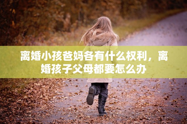 离婚小孩爸妈各有什么权利，离婚孩子父母都要怎么办